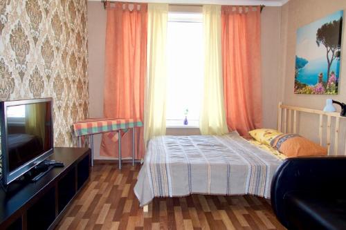 モスクワにあるApartment on Bolshaya Pereyaslavskayaのベッドルーム(ベッド1台、テレビ、窓付)