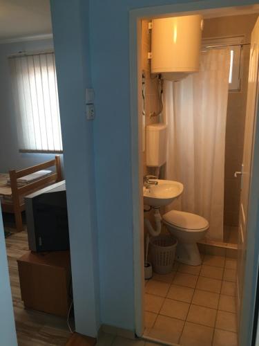een badkamer met een toilet, een wastafel en een televisie bij Banja Gornja Trepca-smestaj Grof in Gornja Trepča