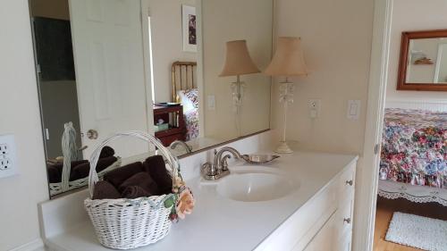a bathroom with a sink with a basket on it at Charming, Private Cottage in Myrtle Creek in Myrtle Creek