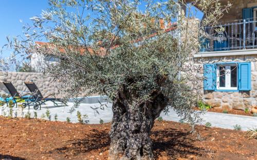 Κήπος έξω από το Old Stone House Apartment With A Heated Pool