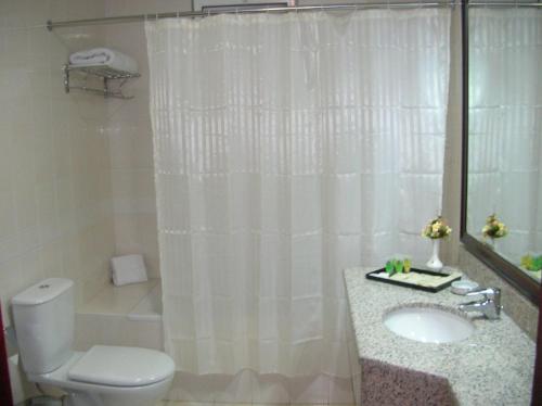 a bathroom with a toilet and a sink and a shower curtain at Al Thuraya Hotel in Amman