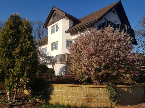 a white house with a tree and a retaining wall at Vila na Skalce in Česká Kamenice