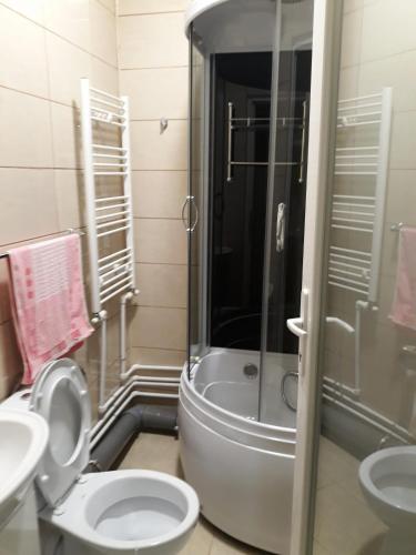 a bathroom with a shower and a toilet and a sink at Casa Papava in Băile Herculane