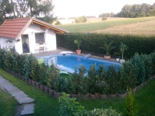 uma piscina num quintal ao lado de uma casa em Ferienwohnung und Pension Gürtler em Mohlsdorf