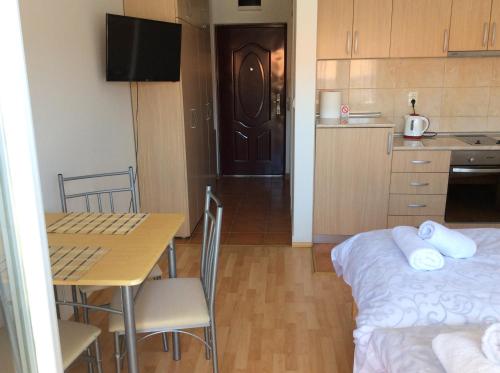 Kuchyň nebo kuchyňský kout v ubytování Apartment ENTER
