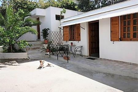 Sunny garden studio