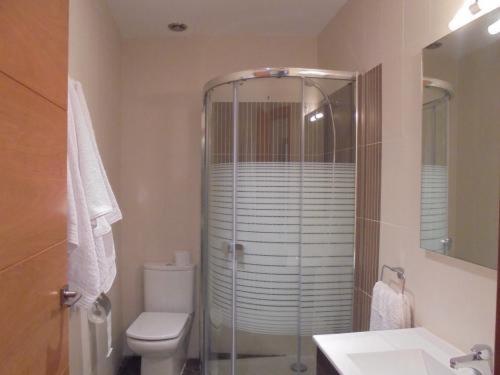 a bathroom with a shower and a toilet and a sink at Casa Rural la Iglesuela in El Barco de Ávila