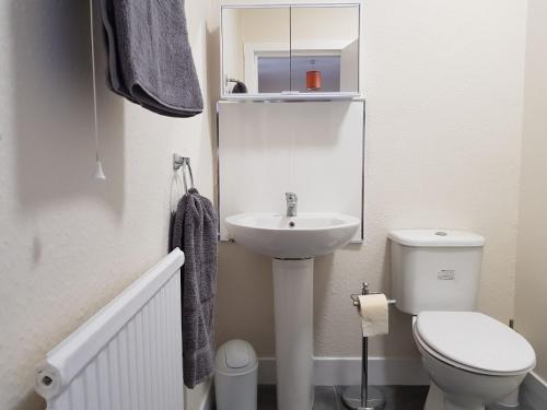 a small bathroom with a sink and a toilet at Charlotte Street 2 Bedroom Apartment in Ayr