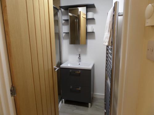 a small bathroom with a sink and a mirror at Church Street Apartments in Inverness