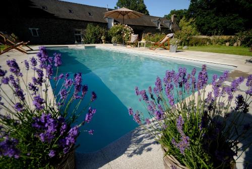 una piscina con flores púrpuras junto a una casa en Manoir de la Villeneuve en Lamballe