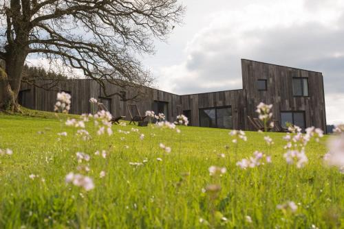 a house on a hill with a field of flowers at Maison d'Hôtes Cerf'titude in Érezée