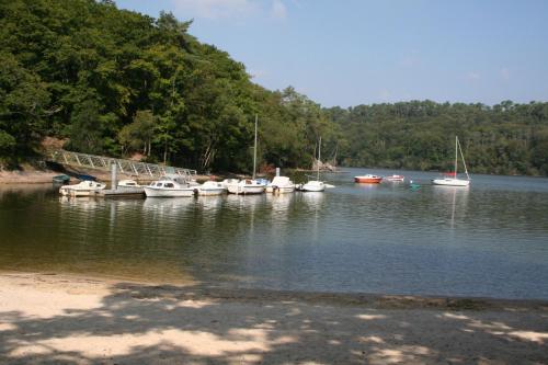 a bunch of boats are docked in the water at Merlin les pieds dans l'eau in Saint-Aignan