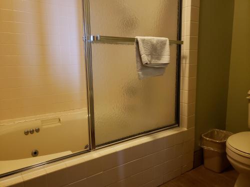a bathroom with a shower with a glass door at Harbor Lights Lodge in Kewaunee