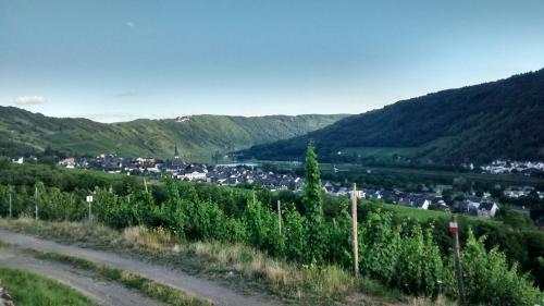 a dirt road with a village in the mountains at Weingut Sauer-Kettermann in Enkirch