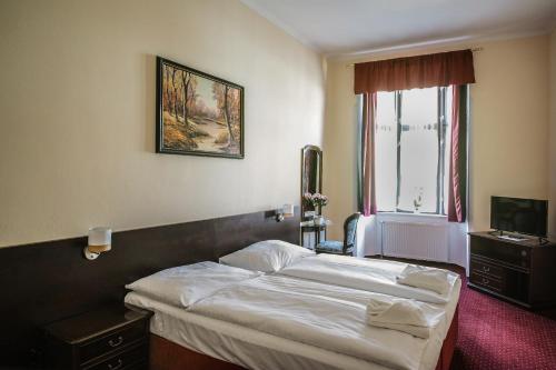 Schlafzimmer mit einem Bett und einem Fenster in der Unterkunft Hotel U Salzmannů in Pilsen