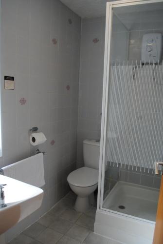 a bathroom with a toilet and a sink and a shower at Craig-Ard Hotel in Llandudno