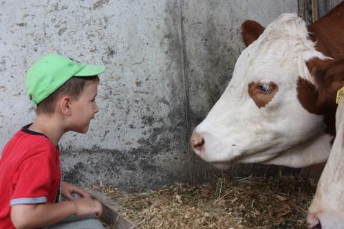a young boy wearing a green hat looking at a cow at Eulenberghof Kraus in Altenkunstadt