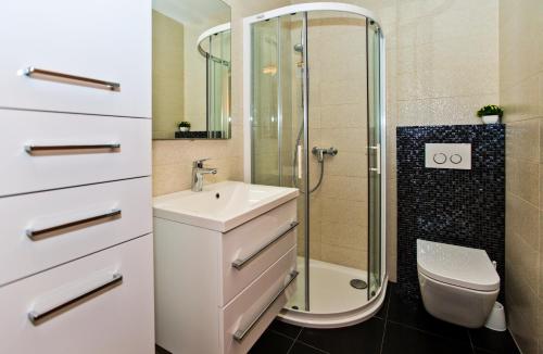 a bathroom with a shower and a sink and a toilet at Apartments Dorijan in Beautiful House in Hvar