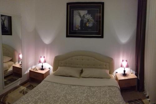 a bedroom with a bed and two lamps on tables at Aleksandra in Bečići