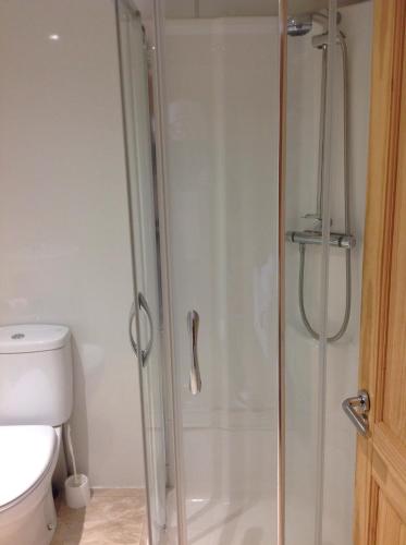 een douche in een badkamer met een toilet bij lyne view, log cabin in Carlisle