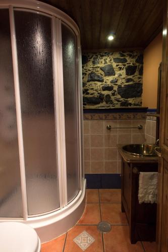 a bathroom with a shower and a sink at Paraíso Ortegal in Feás