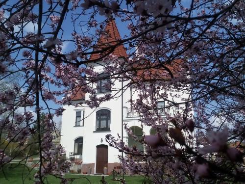 Villa Liduška s kavárnouにある庭