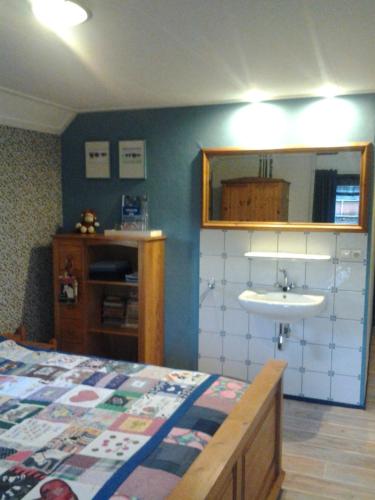 a bedroom with a bed and a sink at Bed & Breakfast “ Gastvrij onthaal “ in Een-West