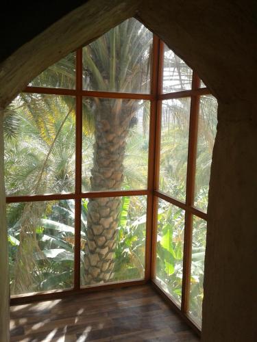 a window with a palm tree seen through it at Misfah Old House in Misfāh