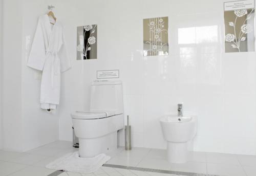 a white bathroom with a toilet and a sink at Hotel Dom Aktera in Odesa
