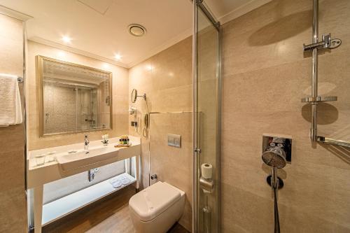 a bathroom with a toilet and a sink and a shower at Mukarnas Taksim Hotel in Istanbul