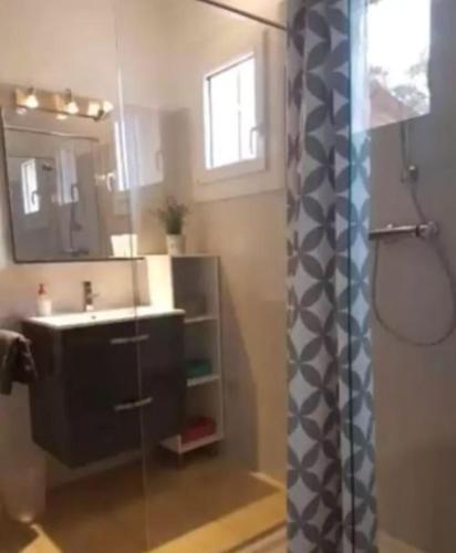 une salle de bain avec un lavabo et une douche avec un miroir dans l'établissement Corsica Paddock, à Prunelli-di-Fiumorbo