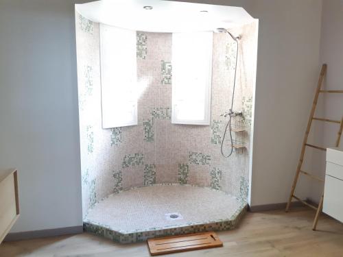 a shower in a bathroom with a shower curtain at Domaine Choco Vanille in Deshaies