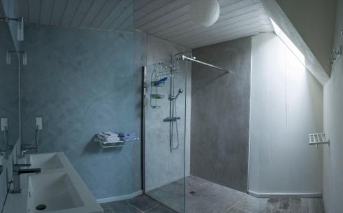 W łazience znajduje się prysznic i umywalka. w obiekcie Pesaulhé w mieście Monein