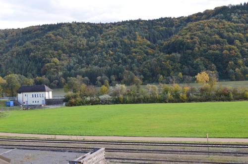 a large green field with a house and a mountain at PENSION Hinterleithner in Persenbeug-Gottsdorf