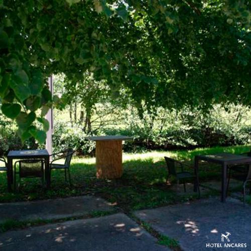 two picnic tables and chairs under a tree at Ancares in Balboa