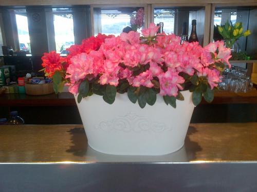 a white vase filled with pink flowers on a counter at Hotel Barberino in Barberino di Mugello