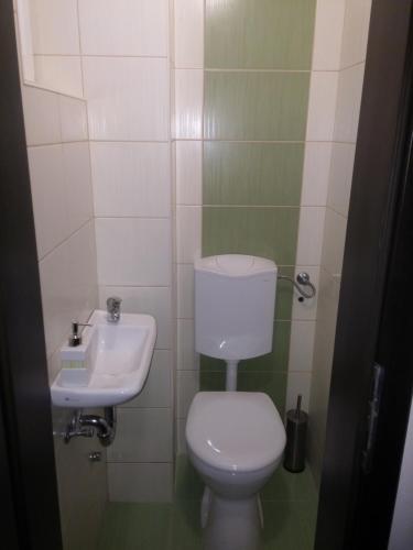 a small bathroom with a toilet and a sink at Vízparti Apartmanház in Leányfalu