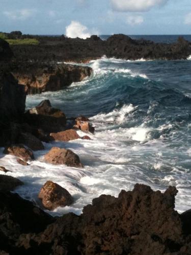 a beach with rocks and the ocean with waves at Hawaii Tropical Volcano mansion + Sauna in Hilo
