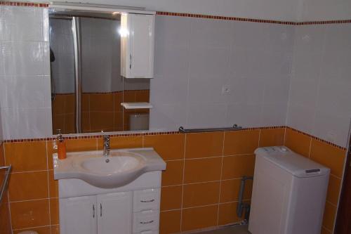 a bathroom with a sink and a mirror at Haut de villa in Sainte-Rose