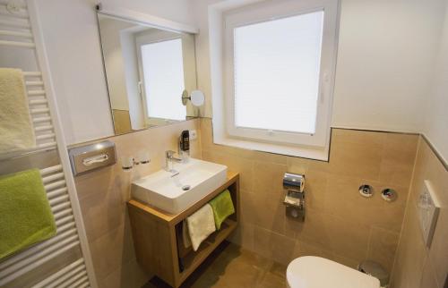 a bathroom with a sink and a mirror and a toilet at Hotel Alp Inn - Chiemgaukarte inclusive in Ruhpolding