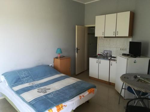 1 dormitorio con 1 cama y cocina pequeña en Apartmani Filipovic, en Kladovo