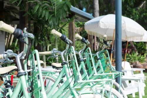 a row of green bikes parked next to white chairs at Wake Up! Byron Bay in Byron Bay