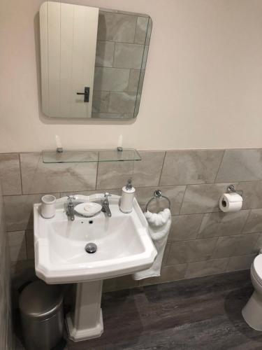 a bathroom with a sink and a mirror and a toilet at Camerton Inn Cottage in Bath