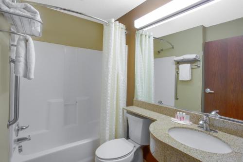 a bathroom with a sink and a toilet at Microtel Inn & Suites by Wyndham Harrisonburg in Harrisonburg