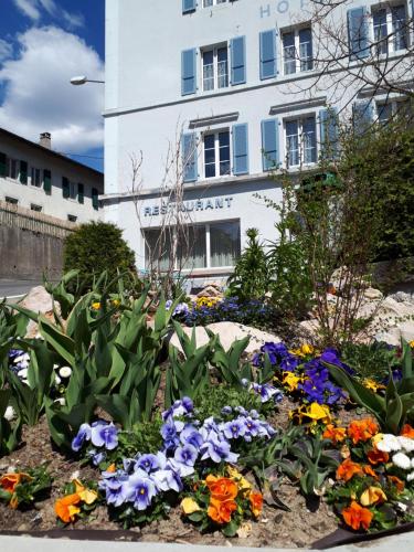 a garden with flowers and plants in front of a building at Hôtel de France in Sainte-Croix