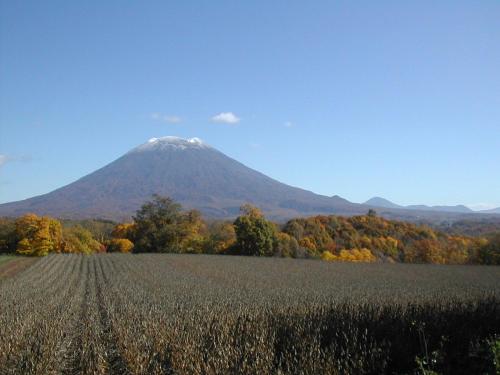 a mountain in the distance with a field in the foreground at Bistare Kana in Niseko