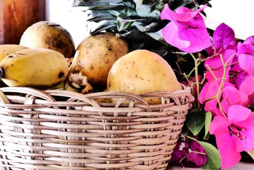 Jídlo v hotelu nebo okolí