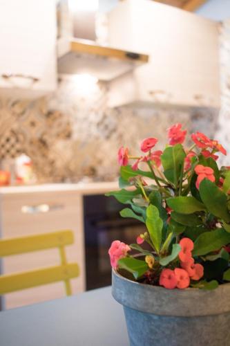 a potted plant sitting on a table in a kitchen at Fattoria Il Bruco in Pila