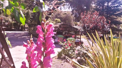 a garden with pink flowers in the middle of it at Terrazas de Cruz Chica. in La Cumbre