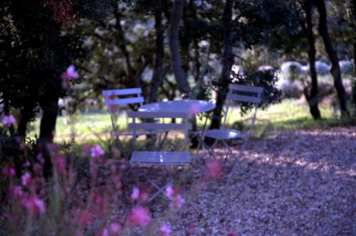 Les Terrasses - Gordes – Photos 5